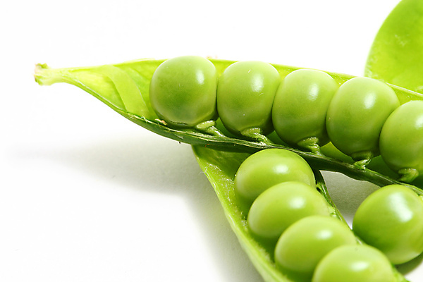 포토 JPG 해외이미지 채소 자연 근접촬영 사람없음 농작물 완두콩 날것 꼬투리 해외202004 해외202105 해외포토 뷰포인트 농업 콩 생태계 파일형식