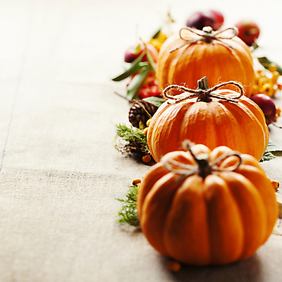 포토 JPG 해외이미지 리본 호박 실내 사람없음 아웃포커스 농작물 가을 소프트포커스 흰배경 일렬 해외202004 해외포토 계절 백그라운드 농업 채소 촬영기법 내부 흰색 파일형식