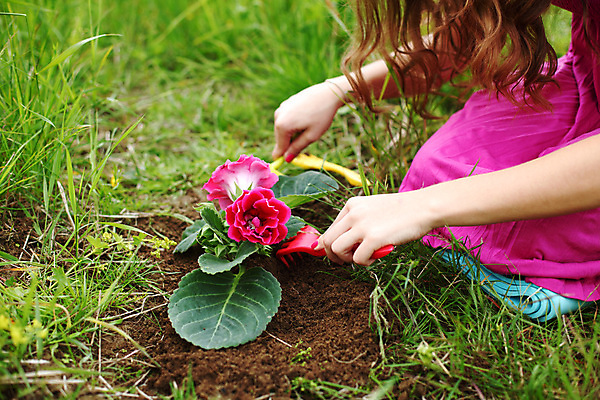 포토 JPG 해외이미지 식물 구름 1 손 계절 꽃 지구 백그라운드 잎 밭 농업 자연 하늘 풍경 초원 사람없음 초록색 여름 파란색 농장 환경 정원 봄 자유 나뭇가지 전원 시골 신선 고독 큼 땅 언덕 싱글 장면 내추럴 옛날 혼자 수평선 해외202004 해외202105 해외포토 자연요소 나무 감정 산업 컬러 컨셉 신체부위 전기에너지 크기 생태계 파일형식