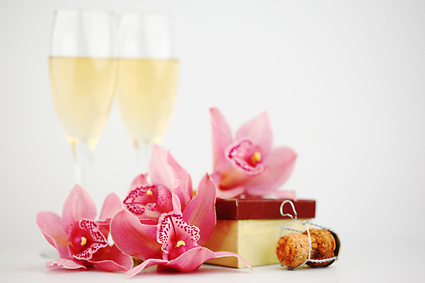 포토 JPG 해외이미지 식물 기념일 꽃잎 꽃 행복 음료 분홍색 백그라운드 꽃무늬 모션 자연 유리 휴가 새로움 발렌타인데이 선물 사랑 사람없음 파티 축제 거품 낭만 흰색 물방울 축하 알코올 신선 액체 난초 황금 떨어짐 샴페인 크리스탈 플루트 연도 토스트 내추럴 넘어짐 엘리먼트 해외202004 해외202105 해외포토 감정 빵 컬러 컨셉 무늬 데이이벤트 재질 주류 관악기 이벤트 광석 생태계 파일형식