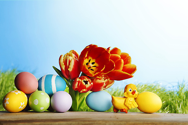 포토 JPG 해외이미지 전통 꽃 음식 꽃다발 백그라운드 하늘 휴가 부활절 병아리 사람없음 장식 빨간색 초록색 파란색 컬러풀 노란색 계란 축제 봄 튤립 벚꽃 축하 그리기 카피스페이스 해외202004 해외202105 해외포토 식물 계절 기념일 컬러 컨셉 모션 조류 알 공백 파일형식