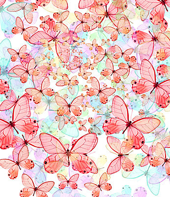 포토 JPG 해외이미지 동물 무료이미지 야생동물 나비 곤충 백그라운드 날개 자연 벽지 안테나 사람없음 봄 질감 공상 해외202004 해외202105 해외포토 계절 통신 생태계 파일형식 무료콘텐츠