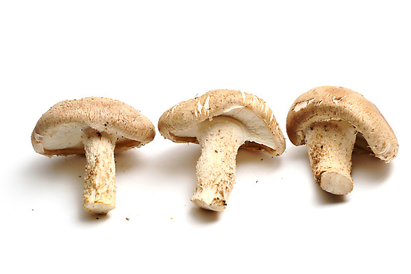 포토 JPG 해외이미지 전통 아시아 음식 백그라운드 2 채소 재료 자연 건강 요리 동양인 사람없음 약 갈색 일본 중국 버섯 흰색 신선 약초 날것 내추럴 고립 곰팡이 식용 이국적 줄서기 치료제 세련 해외202004 해외202105 해외포토 나라 컬러 의학 모션 인종 풀_식물 생태계 파일형식