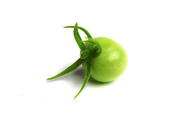 포토 JPG 해외이미지 토마토 방울토마토 사람없음 한개 날것 내추럴 해외202004 해외202105 해외포토 1 채소 파일형식