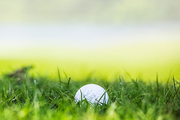 포토 JPG 해외이미지 스포츠 백그라운드 밭 골프 공 자연 골프공 잔디 취미 사람없음 야외 초록색 우주 게임 흰색 닫기 강의 오브젝트 내추럴 페어웨이 카피스페이스 해외202004 해외202105 해외포토 식물 컬러 농업 모션 놀이 골프용품 구기 공백 생태계 파일형식