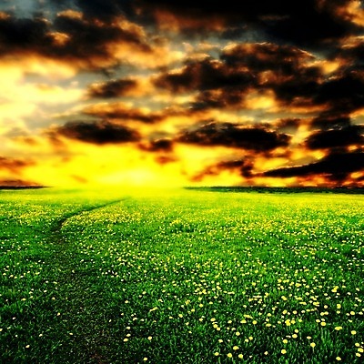 포토 JPG 해외이미지 식물 구름 계절 공원 꽃잎 꽃 행복 백그라운드 잎 꽃무늬 패턴 밭 농업 자연 벽지 하늘 풍경 초원 사람없음 야외 초록색 여름 컬러풀 태양 농장 노란색 우주 일출 환경 정원 맑음 일몰 봄 벚꽃 흰색 시골 신선 닫기 민들레 장면 내추럴 해외202004 해외202105 해외포토 자연요소 공공시설 감정 산업 컬러 무늬 모션 날씨 노을 생태계 파일형식