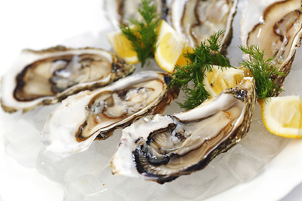 포토 JPG 해외이미지 접시 식재료 실내 사람없음 아웃포커스 굴 신선 레몬 흰배경 해외202004 해외202105 해외포토 식기 백그라운드 과일 어패류 촬영기법 내부 흰색 파일형식