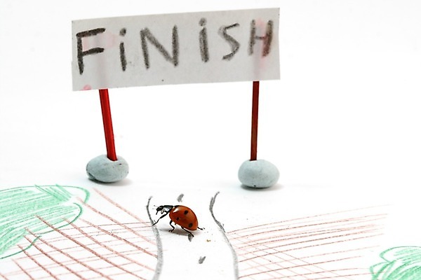 포토 JPG 해외이미지 식물 계절 행복 곤충 백그라운드 컨셉 자연 안테나 사람없음 빨간색 컬러풀 달리기 노란색 환경 정원 봄 흰색 신선 점 칼날 끝 벌레 보호 발사 허브 딱정벌레 묘사 속도 생물학 무당벌레 내추럴 고립 해외202004 해외202105 해외포토 동물 교육 감정 컬러 통신 모션 생태계 파일형식