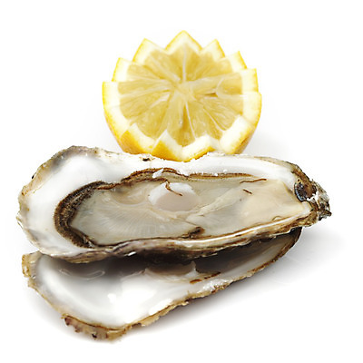 포토 JPG 해외이미지 식재료 실내 근접촬영 사람없음 굴 신선 레몬 흰배경 해외202004 해외202105 해외포토 뷰포인트 백그라운드 과일 어패류 내부 흰색 파일형식