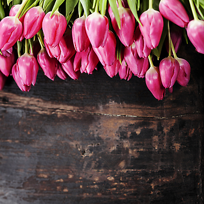 포토 JPG 해외이미지 꽃다발 실내 사람없음 하이앵글 튤립 나무바닥 카피스페이스 해외202004 해외포토 꽃 뷰포인트 바닥 내부 공백 파일형식