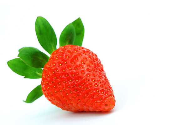 포토 JPG 해외이미지 열매 딸기 사람없음 내추럴 해외202004 해외202105 해외포토 식물 과일 파일형식