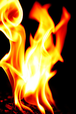 포토 JPG 해외이미지 디자인 백그라운드 패턴 오렌지 일러스트 자연 벽지 추상 불꽃 프레임 따뜻함 요리 미술 사람없음 빨간색 물 빛 노란색 검은색 어둠 힘 에너지 뜨거움 닫기 기름 더위 위험 모닥불 혀 묘사 벽난로 질감 매움 화재 마법 엘리먼트 점화 지옥 화상 스타일 해외202004 해외202105 해외포토 자연요소 음식 컬러 컨셉 무늬 과일 모션 불 날씨 문화예술 입 맛 상처 사건 생태계 파일형식