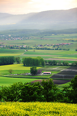 포토 JPG 해외이미지 나무 구름 무료이미지 계절 공원 꽃 백그라운드 밭 농업 자연 하늘 아침 날씨 풍경 초원 사람없음 야외 초록색 여름 파란색 세계 태양 농장 농경지 노란색 평화 일출 환경 맑음 일몰 봄 시골 저녁 민들레 땅 언덕 내추럴 수평선 해외202004 해외202105 해외포토 주간 자연요소 식물 공공시설 산업 컬러 컨셉 노을 야간 생태계 파일형식 무료콘텐츠