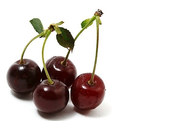 포토 JPG 해외이미지 모양 잡화 음식 줄기 2 농업 곡선 다이어트 과일 디저트 건강 사람없음 빨간색 초록색 빛 숫자 흰색 신선 원형 체리 우아함 달콤 맛 묘사 싱글 유기농 서식 진홍색 비타민 내추럴 고립 숙성 영양분 이국적 줄서기 많음 솔깃 맛있는 해외202004 해외202105 해외포토 도형 식물 문자 웰빙 산업 선 컬러 컨셉 모션 영양소 파일형식