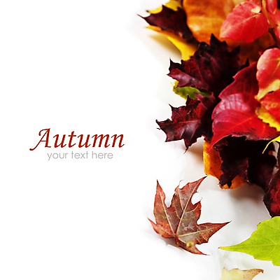 포토 JPG 해외이미지 실내 사람없음 가을 흰배경 해외202004 해외포토 계절 백그라운드 내부 흰색 파일형식