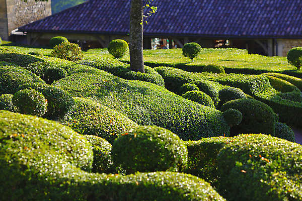포토 JPG 해외이미지 모양 나무 식물 디자인 공원 유럽 길 조각 백그라운드 잎 크리스마스 패턴 밭 매달리기 풍경 잔디 사람없음 초록색 여름 정원 산책 프랑스 성장 신선 원형 자르기 그림 미로 내추럴 방법 영원 줄서기 해외202004 해외202105 해외포토 도형 계절 공공시설 기념일 나라 컬러 무늬 농업 모션 휴식 파일형식