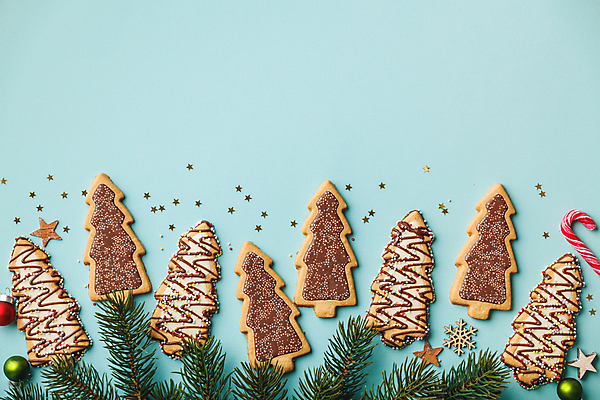 포토 JPG 해외이미지 별 잎 크리스마스 실내 사람없음 하이앵글 눈송이 달콤 파란배경 눈꽃무늬 지팡이사탕 크리스마스트리모양쿠키 트리모양 오너먼트 카피스페이스 해외202004 해외포토 자연요소 모양 식물 기념일 뷰포인트 백그라운드 크리스마스장식 무늬 눈꽃 눈_날씨 사탕 내부 파란색 크리스마스트리 쿠키 공백 맛 파일형식