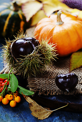 포토 JPG 해외이미지 열매 낙엽 호박 실내 사람없음 아웃포커스 농작물 가을 밤 밤송이 삼베 해외202004 해외포토 식물 계절 잎 농업 채소 촬영기법 내부 견과류 밤_견과류 파일형식 천_직물