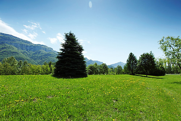 포토 JPG 해외이미지 나무 구름 꽃 유럽 여행 백그라운드 밭 자연 하늘 휴가 산 파노라마 풍경 초원 사람없음 야외 초록색 여름 파란색 농장 걷기 환경 계곡 맑음 봄 등산 하이킹 프랑스 시골 소나무 오스트리아 숲 언덕 알프스 절정 해외202004 해외202105 해외포토 자연요소 식물 계절 나라 컬러 농업 모션 레저 날씨 촬영기법 트래킹 생태계 파일형식