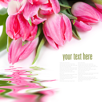 포토 JPG 해외이미지 꽃다발 실내 타이포그라피 사람없음 물 반사 튤립 수면 흰배경 카피스페이스 해외202004 해외포토 자연요소 문자 꽃 백그라운드 내부 공백 흰색 파일형식