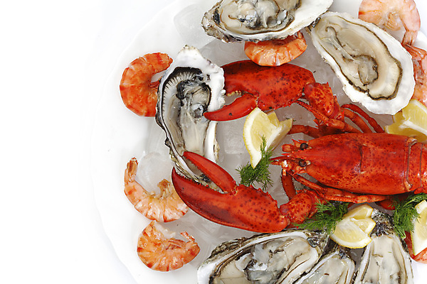 포토 JPG 해외이미지 접시 사람없음 얼음 굴 잡기 바닷가재 해산물 흰배경 집게발 해외202004 해외202105 해외포토 자연요소 식기 백그라운드 모션 어패류 흰색 가재 파일형식