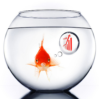 포토 JPG 해외이미지 컨셉 돈 비즈니스 성공 그래프 화살 어류 사람없음 빨간색 금융 판매 거품 성장 흰색 사발 시장 재산 황금 주식 예측 스마트 사인 보고서 금붕어 수족관 이익 진행 개선 수입 해외202004 해외202105 해외포토 컬러 경제 수중동물 사기그릇 파일형식