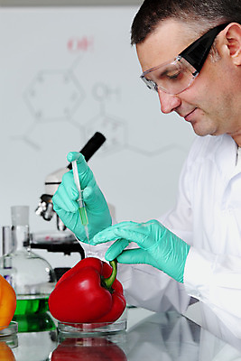 포토 JPG 해외이미지 식물 학생 남자 안경 음식 과학 장갑 채소 노동자 생물 파프리카 직장 건강 현미경 실험 한명 성인 빨간색 초록색 스터디 약 교사 시험 의사 흰색 신선 업무 실험실 DNA 연구원 과학자 분석 생물학 미생물 공학 발견 개발 유전자변형 화학물질 해외202004 해외202105 해외포토 직업 1 잡화 교육 컬러 컨셉 회사 의학 실험기구 사람 학습 의료진 작업 화학 생명공학 학자 파일형식