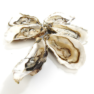 포토 JPG 해외이미지 식재료 실내 근접촬영 사람없음 아웃포커스 굴 신선 흰배경 해외202004 해외202105 해외포토 뷰포인트 백그라운드 어패류 촬영기법 내부 흰색 파일형식