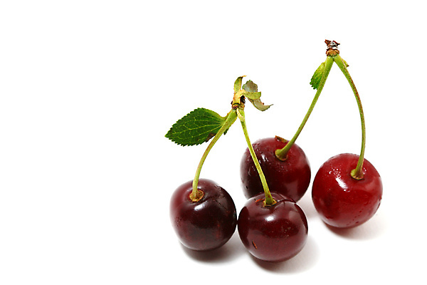 포토 JPG 해외이미지 모양 무료이미지 잡화 음식 줄기 2 농업 곡선 다이어트 과일 디저트 건강 사람없음 빨간색 초록색 빛 숫자 흰색 신선 원형 체리 우아함 달콤 맛 묘사 싱글 유기농 서식 진홍색 내추럴 고립 숙성 영양분 이국적 줄서기 많음 솔깃 맛있는 해외202004 해외202105 해외포토 도형 식물 문자 웰빙 산업 선 컬러 컨셉 모션 파일형식