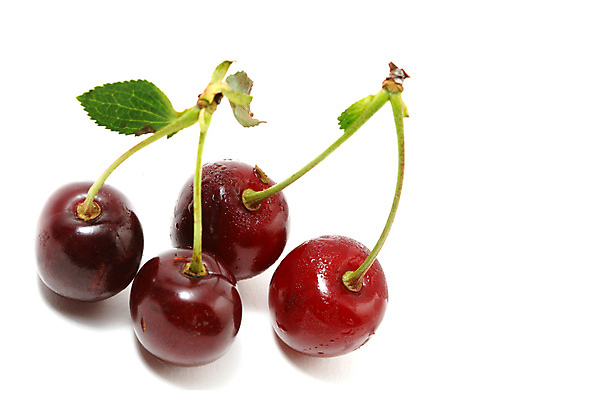 포토 JPG 해외이미지 모양 잡화 음식 줄기 2 농업 곡선 다이어트 과일 디저트 건강 사람없음 빨간색 초록색 빛 숫자 흰색 신선 원형 체리 우아함 달콤 맛 묘사 싱글 유기농 서식 진홍색 내추럴 고립 숙성 영양분 이국적 줄서기 많음 솔깃 맛있는 해외202004 해외202105 해외포토 도형 식물 문자 웰빙 산업 선 컬러 컨셉 모션 파일형식