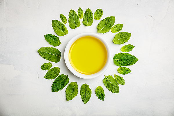 포토 JPG 해외이미지 사람없음 하이앵글 올리브오일 민트 흰배경 종지 해외202004 해외포토 그릇 뷰포인트 백그라운드 흰색 기름_음식 허브 파일형식