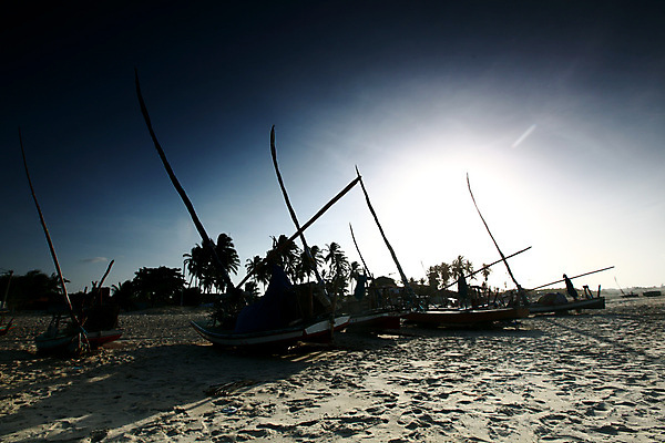 포토 JPG 해외이미지 아시아 모래 파도 바다 섬 여행 태국 자연 하늘 낚시 휴가 풍경 사람없음 야외 목재 물 여름 파란색 햇빛 태양 흰색 죽음 만 보트 작음 갑판 버리기 장면 깨짐 땅바닥 옛날 파라다이스 수평선 해외202004 해외202105 해외포토 자연요소 나무 계절 나라 컬러 컨셉 배_교통 재료 모션 레저 바닥 크기 생태계 파일형식