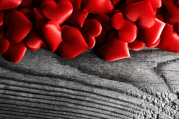 포토 JPG 해외이미지 사랑 사람없음 하트 많음 나무배경 해외202004 해외202105 해외포토 모양 감정 백그라운드 컨셉 파일형식