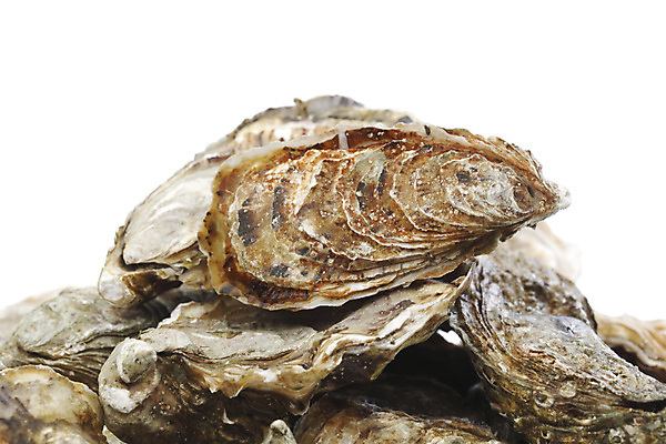 포토 JPG 해외이미지 무료이미지 전통 접시 음식 바다 백그라운드 조개 연체동물 쟁반 어류 요리 사람없음 빛 우주 식당 저녁식사 껍질 굴 고급 지중해 해산물 준비 내추럴 식품점 해외202004 해외202105 해외포토 식기 컨셉 어패류 무척추동물 상점 식사 수중동물 파일형식