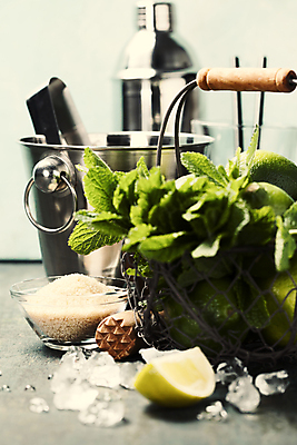 포토 JPG 해외이미지 그릇 사람없음 바구니 얼음 설탕 민트 양동이 라임 모히토 쉐이커 해외202004 해외포토 자연요소 식기 과일 칵테일 허브 파일형식