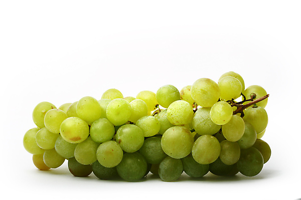 포토 JPG 해외이미지 식물 무료이미지 열매 음식 잎 과일 포도 디저트 사람없음 여름 농장 와인 보라색 가을 나뭇가지 달콤 다발 포도밭 포도나무 비타민 해외202004 해외202105 해외포토 나무 계절 컬러 밭 농업 주류 맛 과일나무 영양소 파일형식