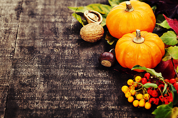 포토 JPG 해외이미지 열매 잎 호박 실내 사람없음 농작물 가을 밤 나무바닥 호두 카피스페이스 해외202004 해외포토 식물 계절 농업 채소 바닥 내부 공백 견과류 파일형식