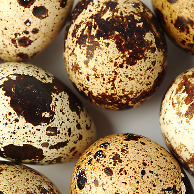 포토 JPG 해외이미지 무료이미지 음식 부활절 사람없음 계란 껍질 단백질 식품점 해외202004 해외202105 해외포토 기념일 상점 알 영양소 파일형식