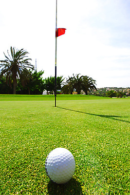 포토 JPG 해외이미지 스포츠 골프 공 골프장 놀이 골프공 풍경 취미 사람없음 야외 컵 여름 게임 깃발 구멍 가장자리 목표 강의 클럽 봉 골프티 넣기 때리기 페어웨이 해외202105 해외포토 식기 계절 컨셉 스포츠시설 모션 골프용품 구기 둘레 파일형식