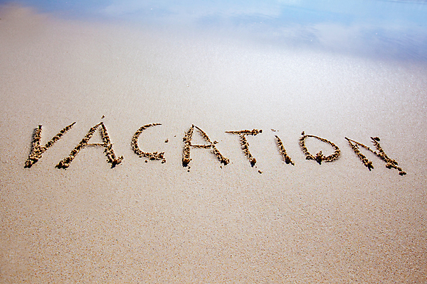 포토 JPG 해외이미지 모래 파도 바다 섬 여행 조류 사람없음 물 여름 단어 모래사장 햇빛 노란색 맑음 메시지 부드러움 해외202105 해외포토 자연요소 동물 문자 계절 컬러 날씨 태양 감각 파일형식