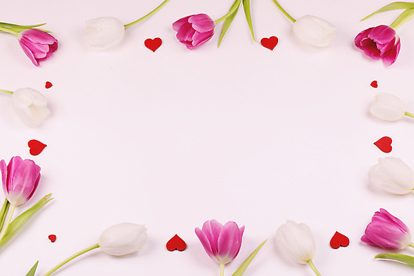 포토 JPG 해외이미지 실내 발렌타인데이 사랑 사람없음 하이앵글 튤립 하트 카피스페이스 분홍색배경 해외202105 해외포토 모양 꽃 감정 뷰포인트 분홍색 백그라운드 데이이벤트 내부 공백 파일형식