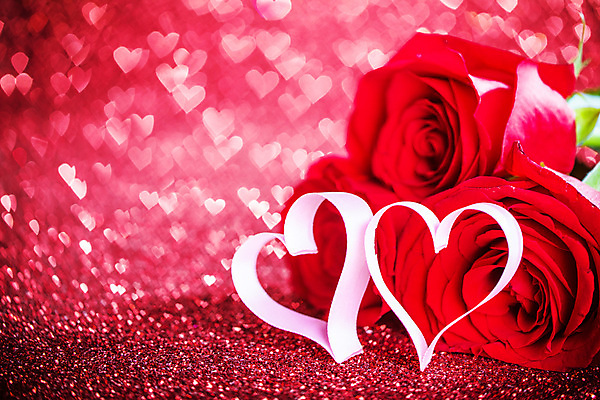 포토 JPG 해외이미지 꽃 리본 분홍색 꽃다발 발렌타인데이 사랑 사람없음 장식 하트 축하 보케 카피스페이스 해외202105 해외포토 모양 식물 감정 컬러 컨셉 데이이벤트 공백 파일형식