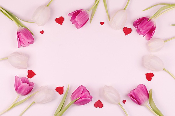 포토 JPG 해외이미지 꽃다발 실내 발렌타인데이 사랑 사람없음 하이앵글 튤립 하트 카피스페이스 분홍색배경 해외202105 해외포토 모양 꽃 감정 뷰포인트 분홍색 백그라운드 데이이벤트 내부 공백 파일형식