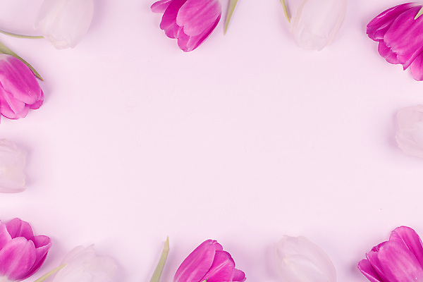 포토 JPG 해외이미지 실내 발렌타인데이 사랑 사람없음 하이앵글 튤립 카피스페이스 분홍색배경 해외202105 해외포토 꽃 감정 뷰포인트 분홍색 백그라운드 데이이벤트 내부 공백 파일형식