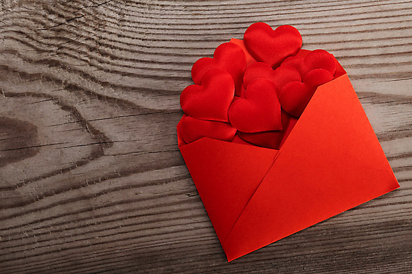 포토 JPG 해외이미지 편지봉투 사랑 사람없음 하트 많음 나무배경 해외202105 해외포토 모양 감정 백그라운드 컨셉 봉투 편지 파일형식