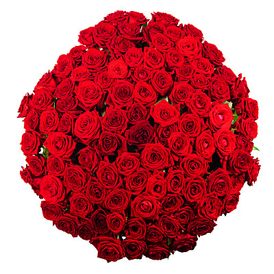 포토 JPG 해외이미지 꽃다발 실내 발렌타인데이 사랑 사람없음 하이앵글 장미 흰배경 해외202105 해외포토 꽃 감정 뷰포인트 백그라운드 데이이벤트 내부 흰색 파일형식