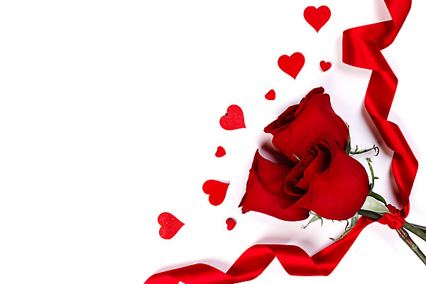 포토 JPG 해외이미지 리본 꽃다발 실내 발렌타인데이 사랑 사람없음 하이앵글 장미 하트 묶기 흰배경 카피스페이스 해외202105 해외포토 모양 꽃 감정 뷰포인트 백그라운드 모션 데이이벤트 내부 공백 흰색 파일형식