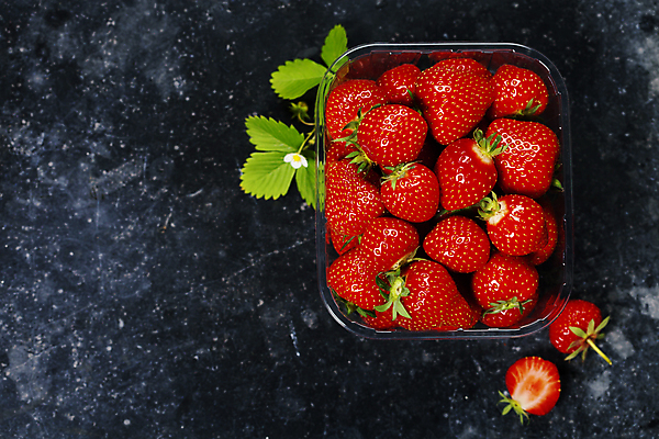 포토 JPG 해외이미지 꽃 딸기 검은배경 실내 사람없음 하이앵글 플라스틱통 카피스페이스 딸기잎 해외202004 해외포토 식물 뷰포인트 백그라운드 잎 과일 통 내부 검은색 공백 플라스틱 파일형식