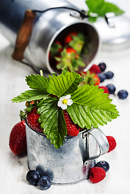 포토 JPG 해외이미지 잎 딸기 사람없음 아웃포커스 금속 머그컵 담기 블루베리 산딸기 쏟아짐 해외202004 해외포토 식물 과일 모션 재질 촬영기법 컵 파일형식