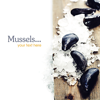 포토 JPG 해외이미지 사람없음 아웃포커스 얼음 흰배경 홍합 나무도마 해외202004 해외포토 자연요소 백그라운드 어패류 도마 촬영기법 목재 흰색 파일형식